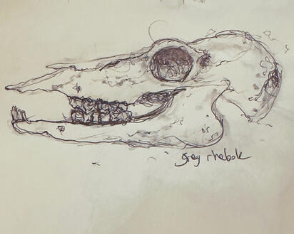 Untitled Untitled