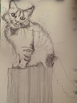 Untitled Untitled