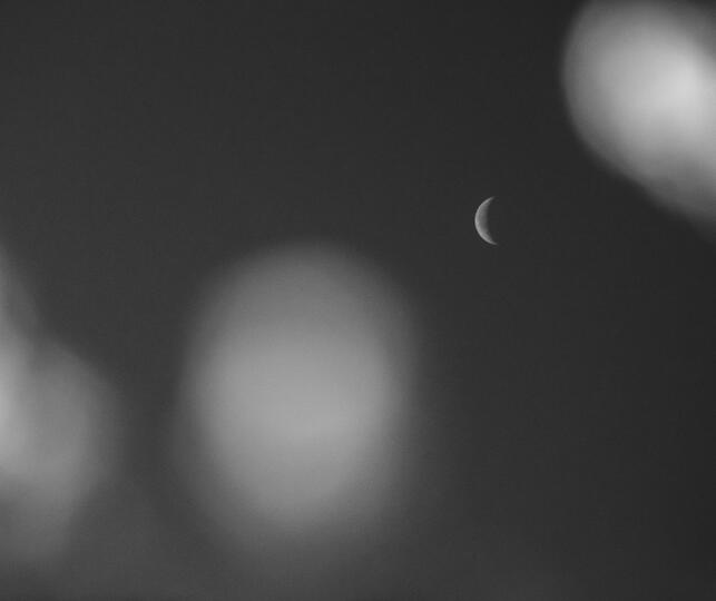 Untitled Untitled