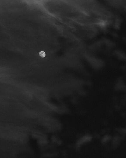 Untitled Untitled
