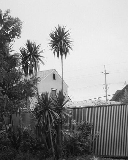 Untitled Untitled