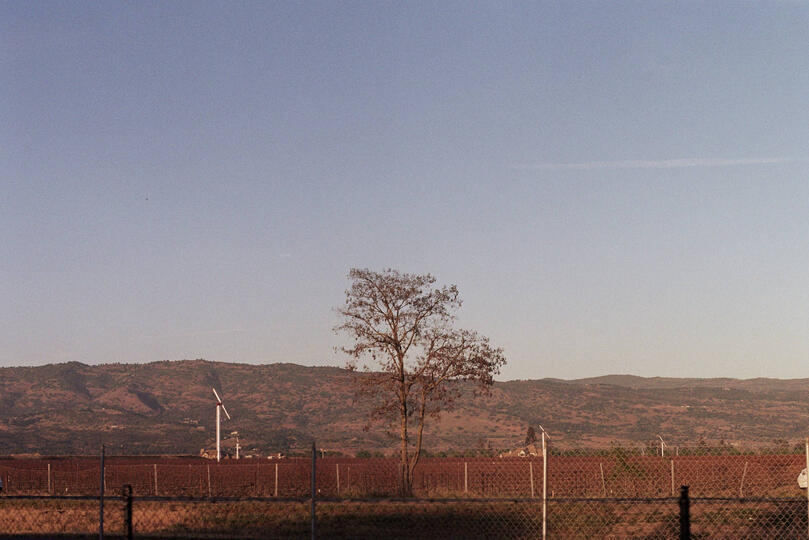 Untitled Untitled