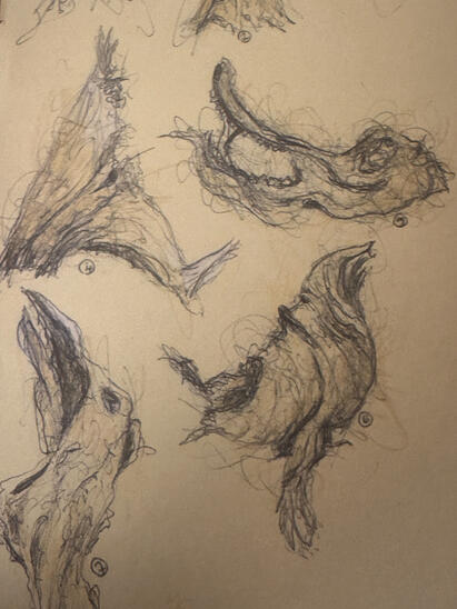 Untitled Untitled