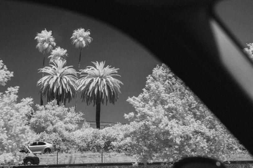 Untitled Untitled