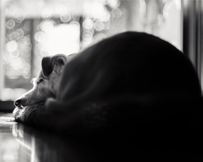 Untitled Untitled