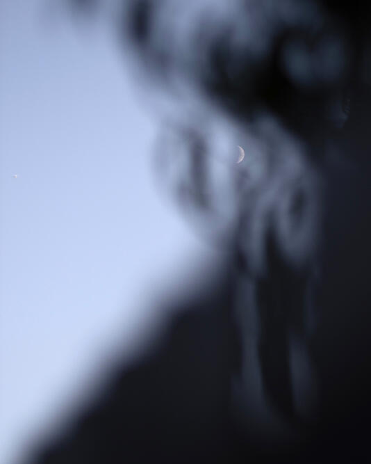 Untitled Untitled
