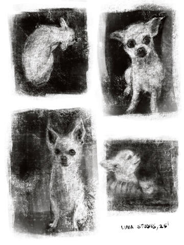 Untitled Untitled